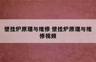 壁挂炉原理与维修 壁挂炉原理与维修视频